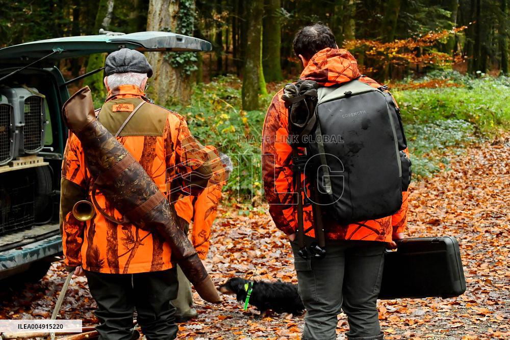 Hunting in Normandy in The Forest of Écouves - France