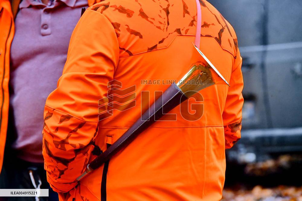 Hunting in Normandy in The Forest of Écouves - France