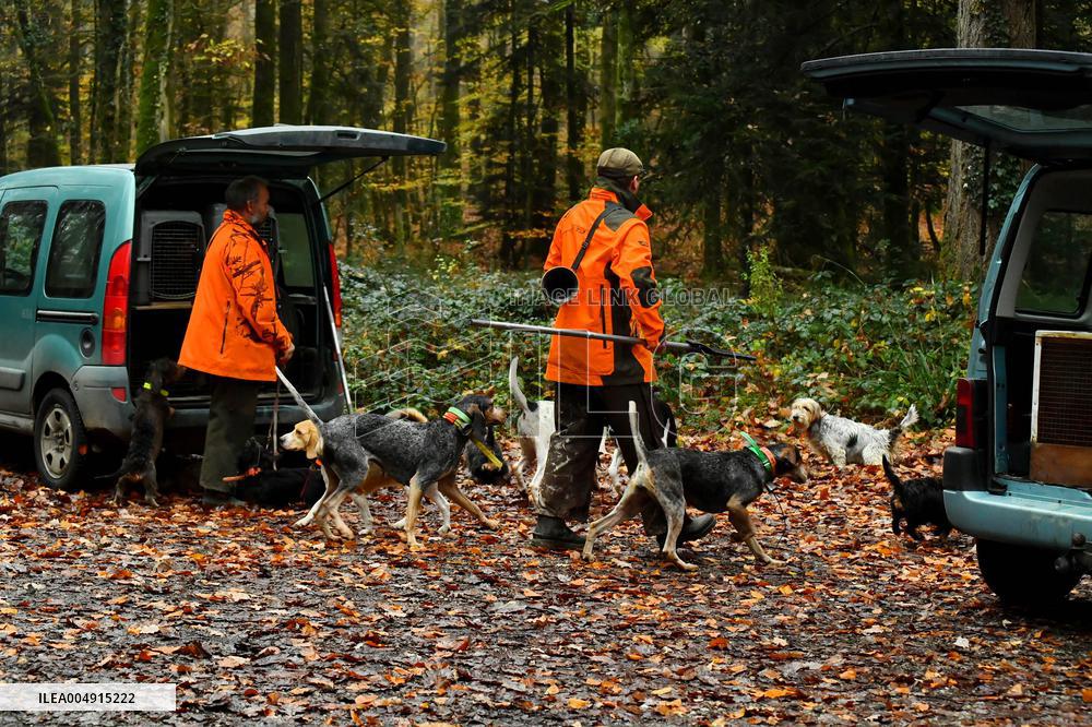 Hunting in Normandy in The Forest of Écouves - France
