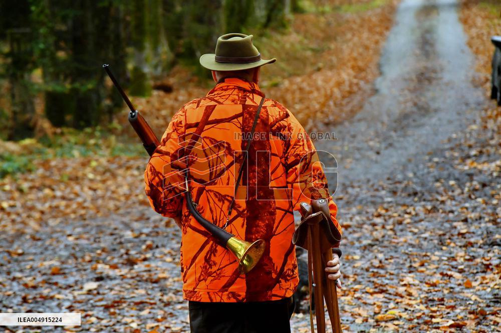 Hunting in Normandy in The Forest of Écouves - France