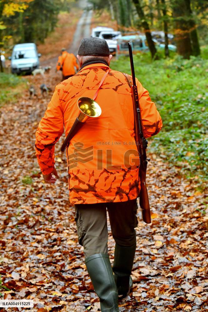 Hunting in Normandy in The Forest of Écouves - France