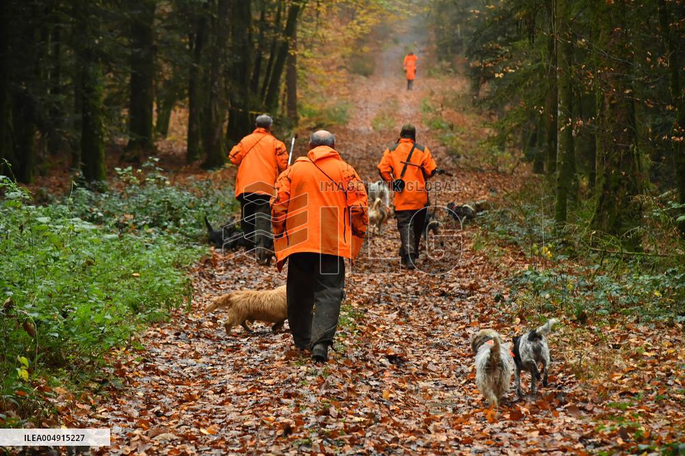 Hunting in Normandy in The Forest of Écouves - France