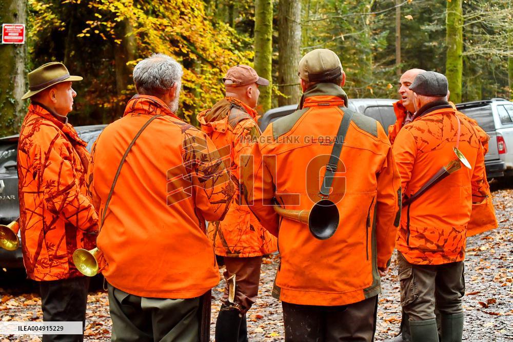 Hunting in Normandy in The Forest of Écouves - France