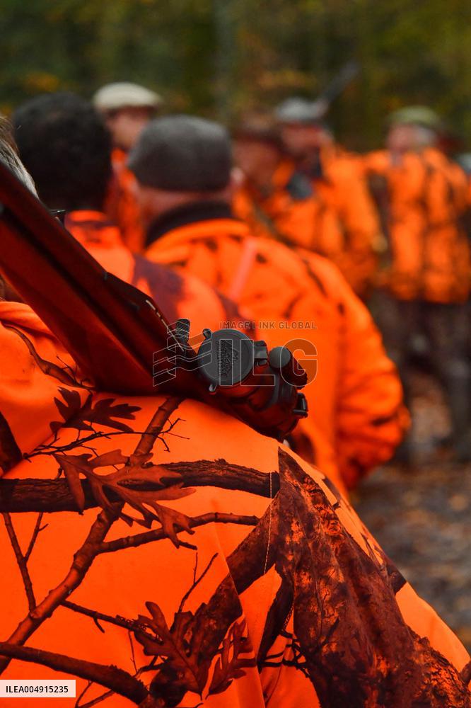 Hunting in Normandy in The Forest of Écouves - France