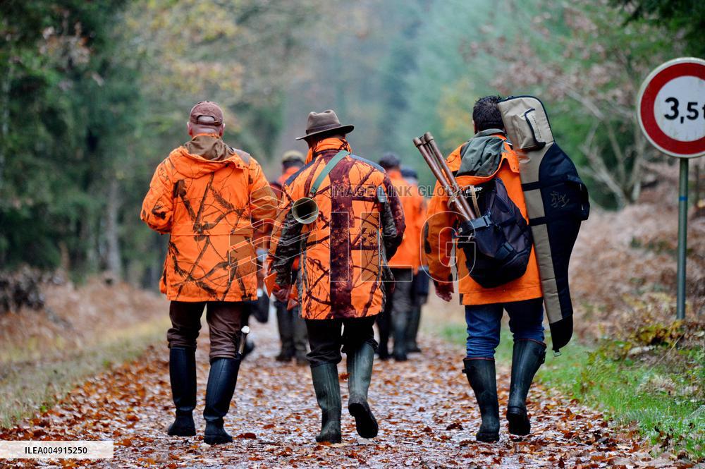 Hunting in Normandy in The Forest of Écouves - France