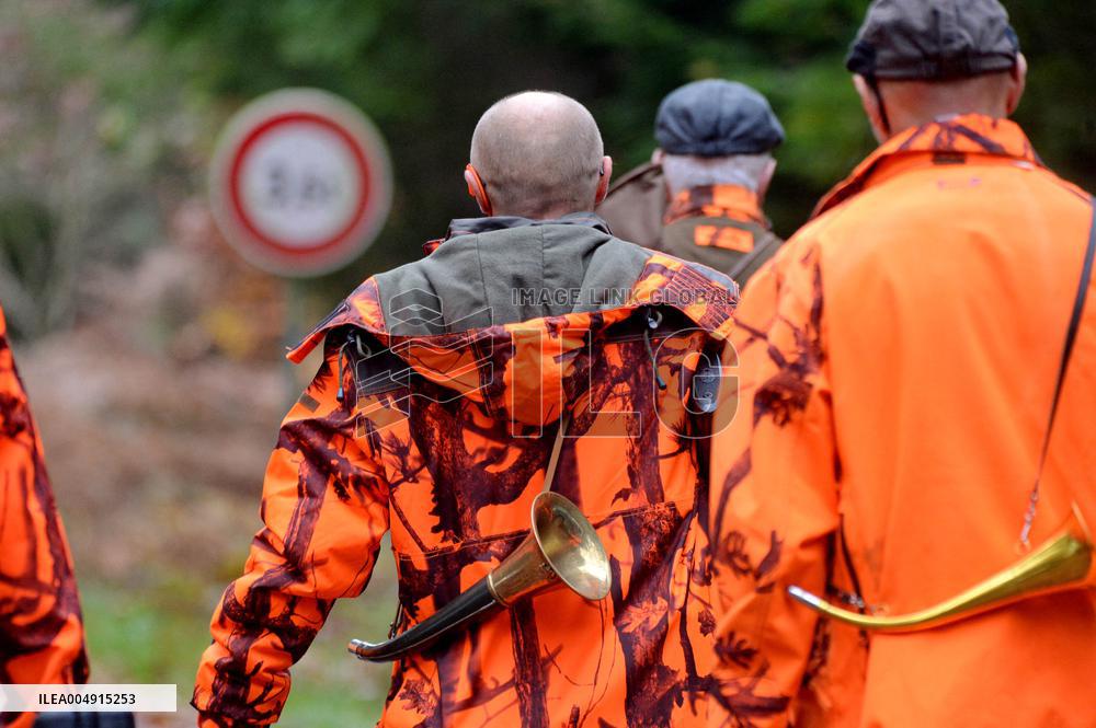 Hunting in Normandy in The Forest of Écouves - France