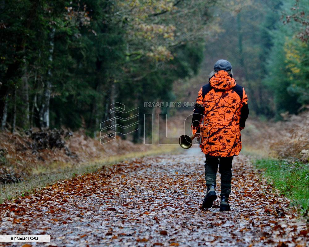 Hunting in Normandy in The Forest of Écouves - France