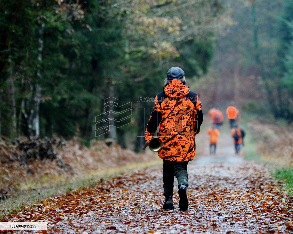 Hunting in Normandy in The Forest of Écouves - France