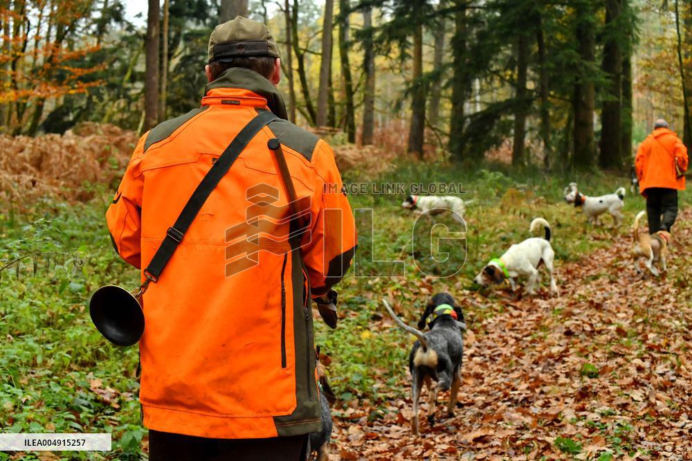 Hunting in Normandy in The Forest of Écouves - France