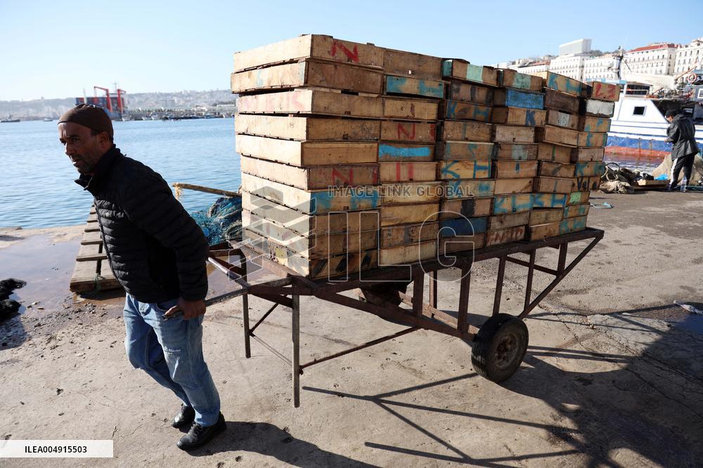 Fishing Sector Development in Algeria - Algeria