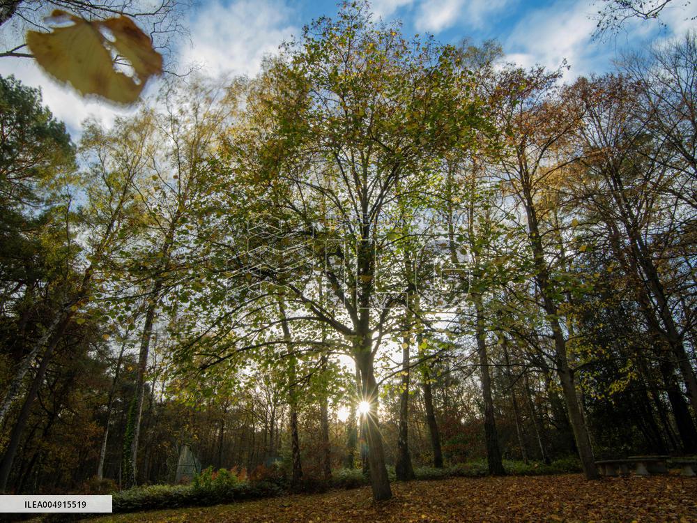 Autumn Colors in Caorches Saint Nicolas - France