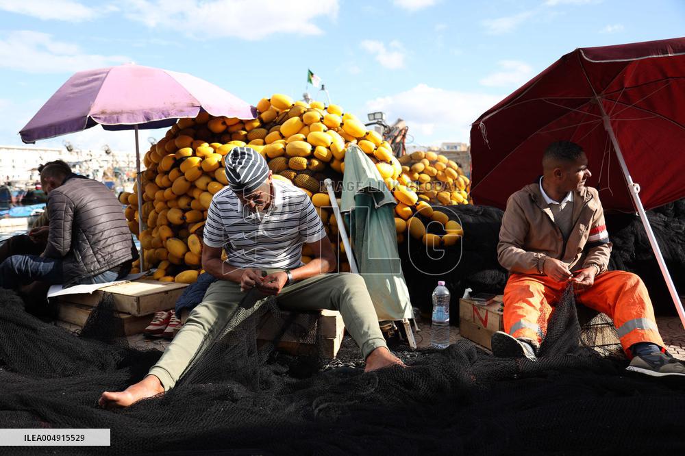 Fishing Sector Development in Algeria - Algeria