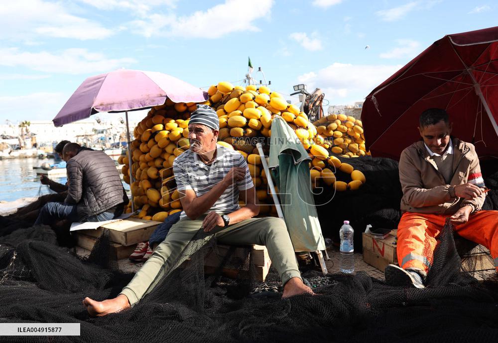 Fishing Sector Development in Algeria - Algeria