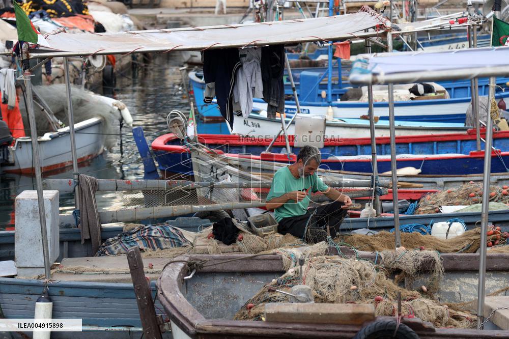 Fishing Sector Development in Algeria - Algeria
