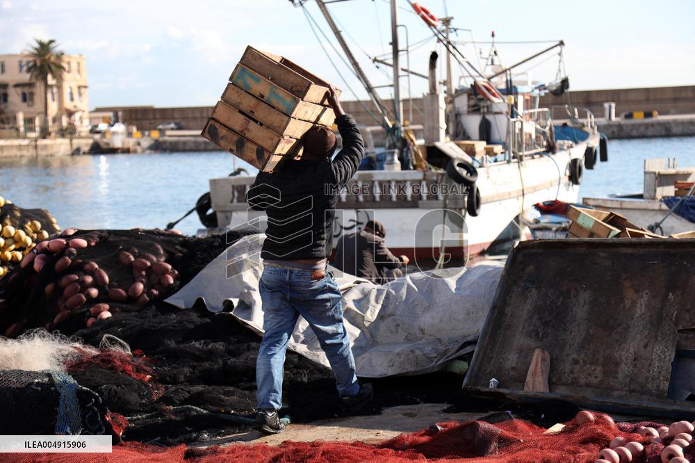 Fishing Sector Development in Algeria - Algeria