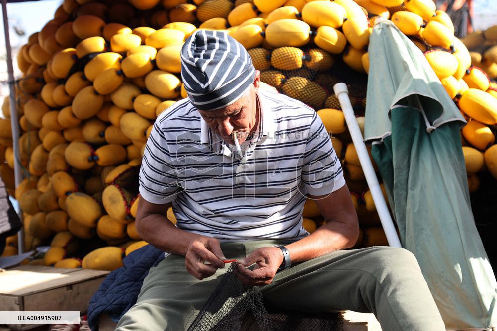 Fishing Sector Development in Algeria - Algeria