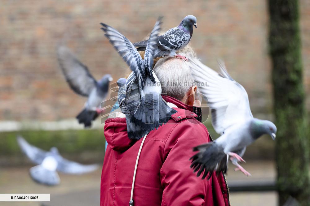 Special Joint Meeting of the States General - The Hague