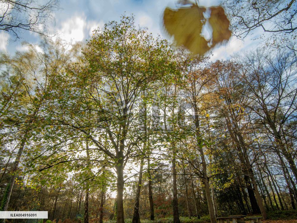 Autumn Colors in Caorches Saint Nicolas - France