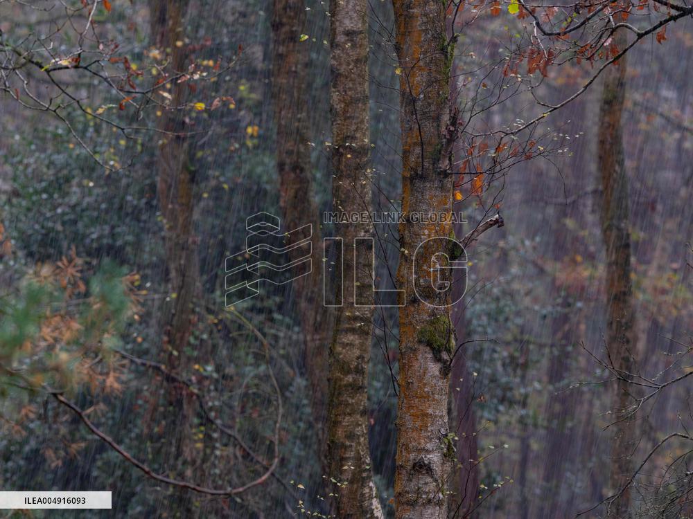 Autumn Colors in Caorches Saint Nicolas - France