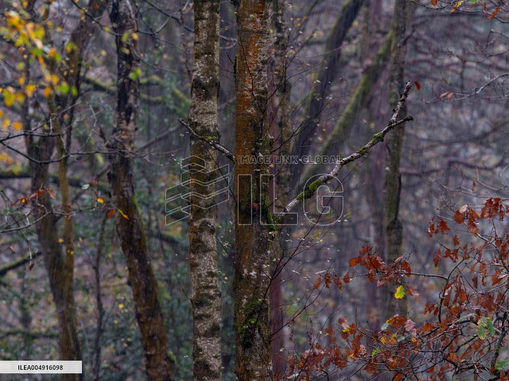 Autumn Colors in Caorches Saint Nicolas - France