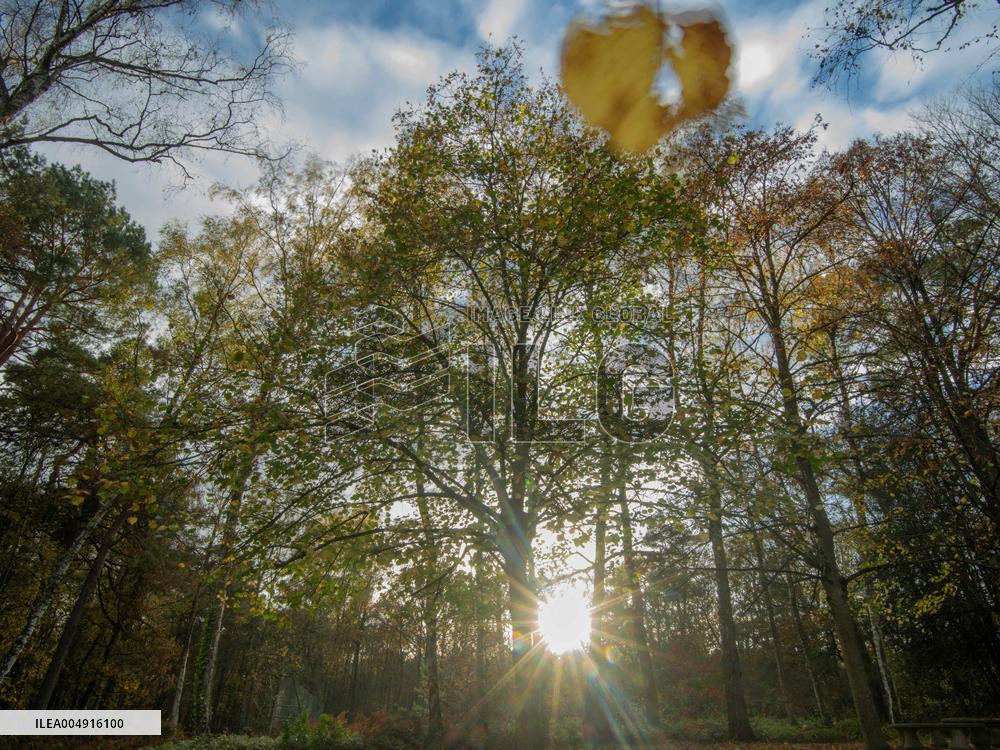 Autumn Colors in Caorches Saint Nicolas - France