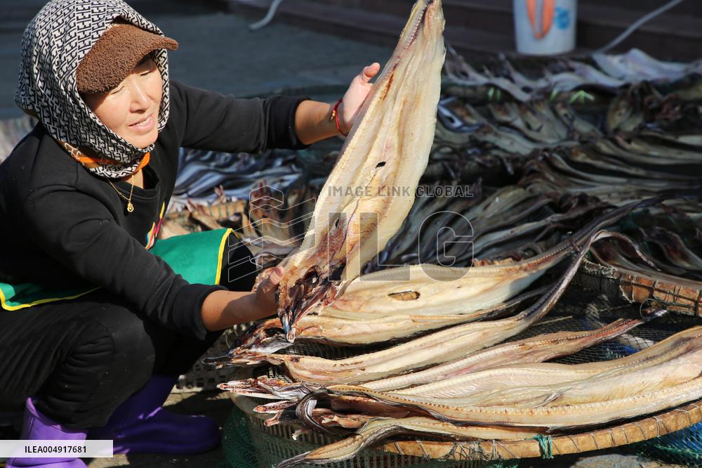 Marine Fishery