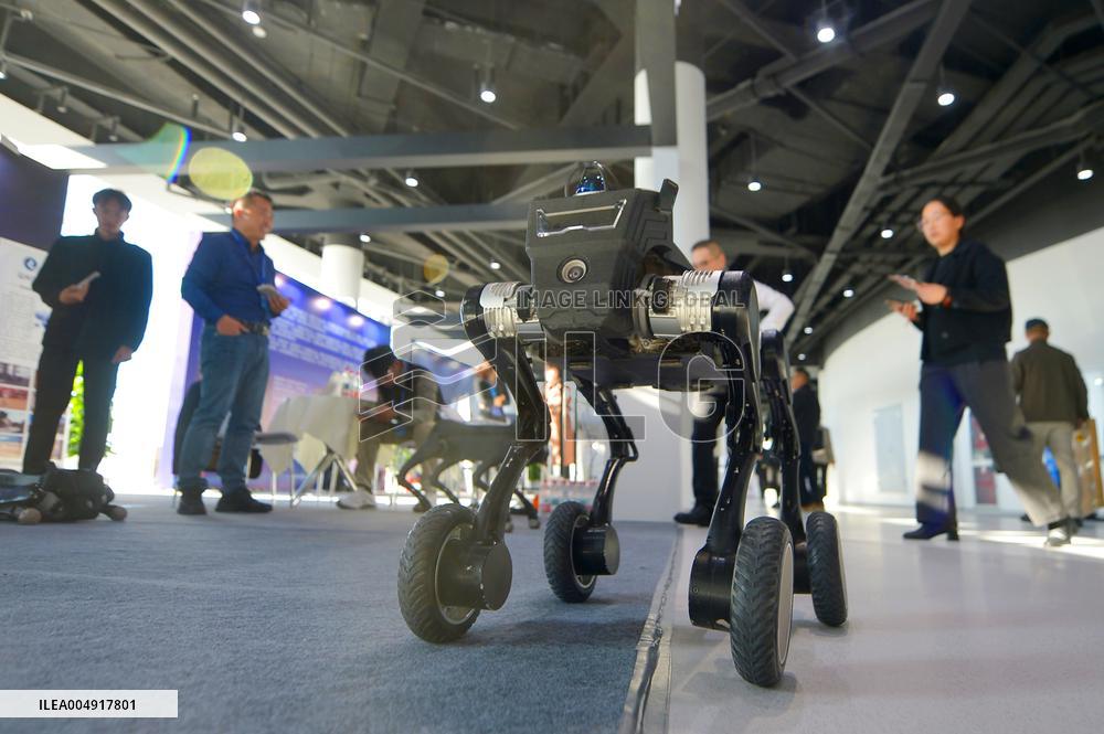 2025 Qingdao Virtual Reality Innovation Conference