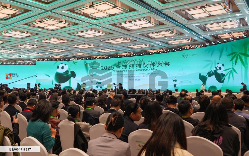 Global Panda Partners 2025 Conference - China