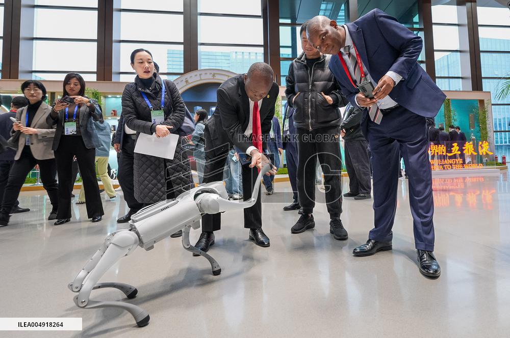 Global Panda Partners 2025 Conference - China