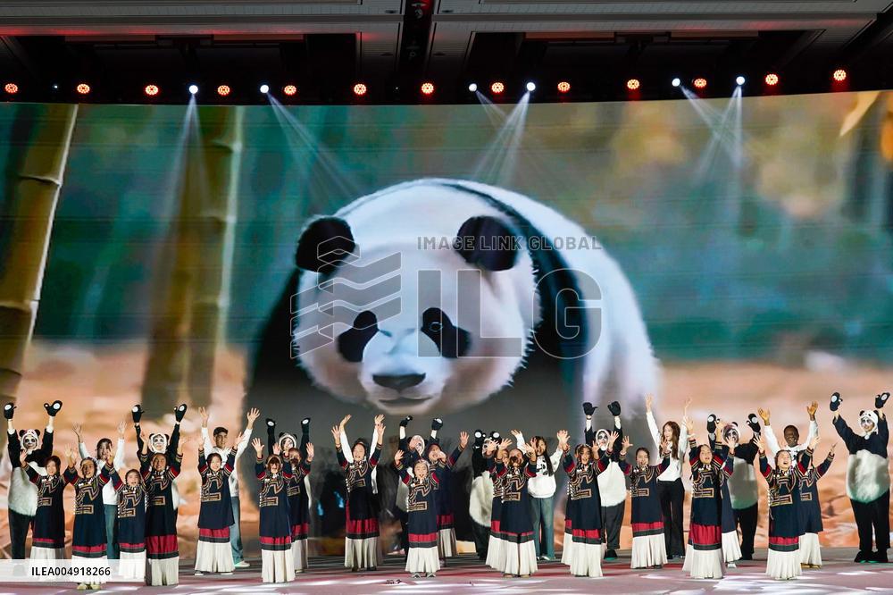 Global Panda Partners 2025 Conference - China