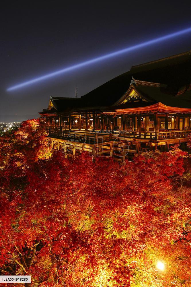 Kiyomizu temple lit up in Kyoto