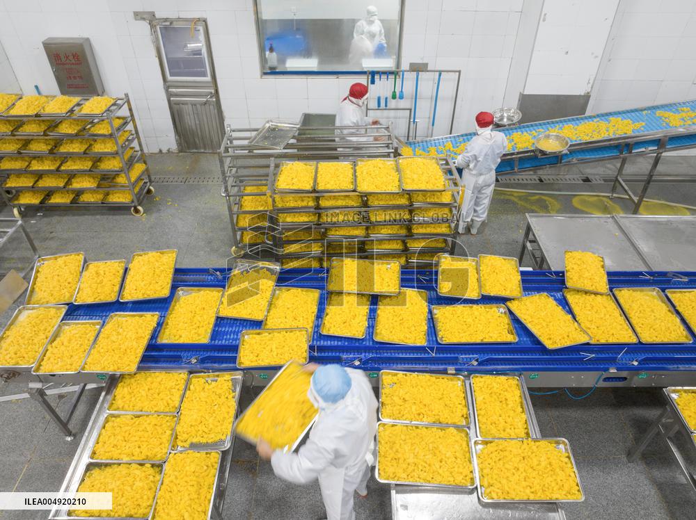 Navel Orange Processing Industry