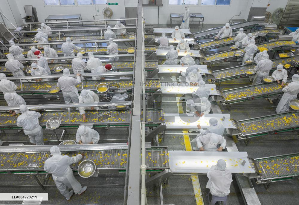 Navel Orange Processing Industry