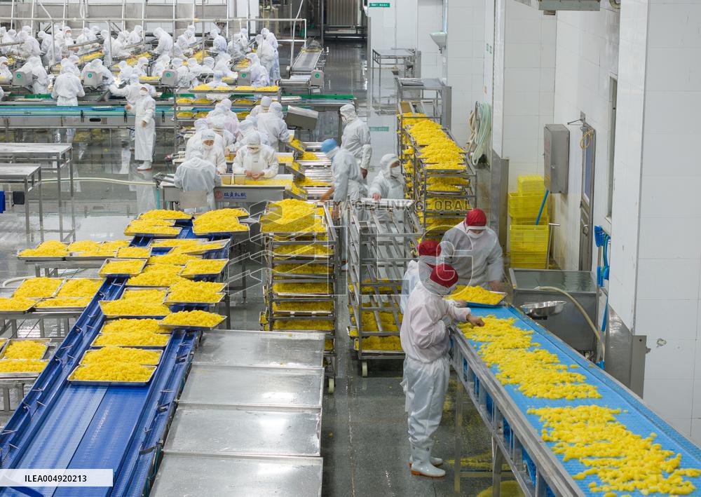 Navel Orange Processing Industry