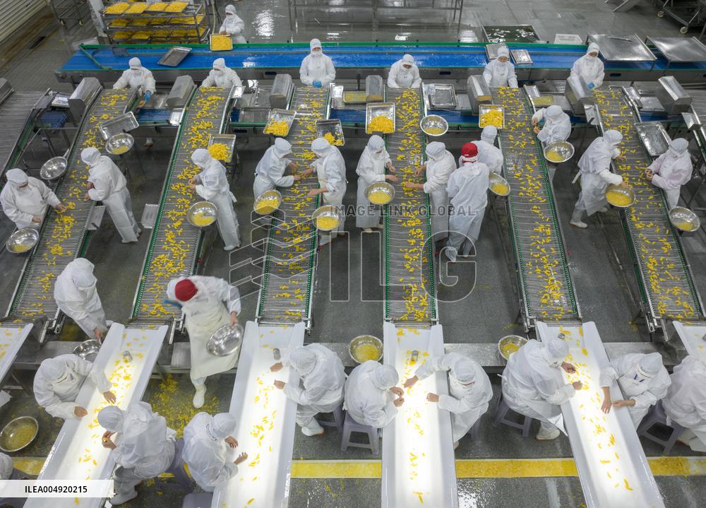 Navel Orange Processing Industry