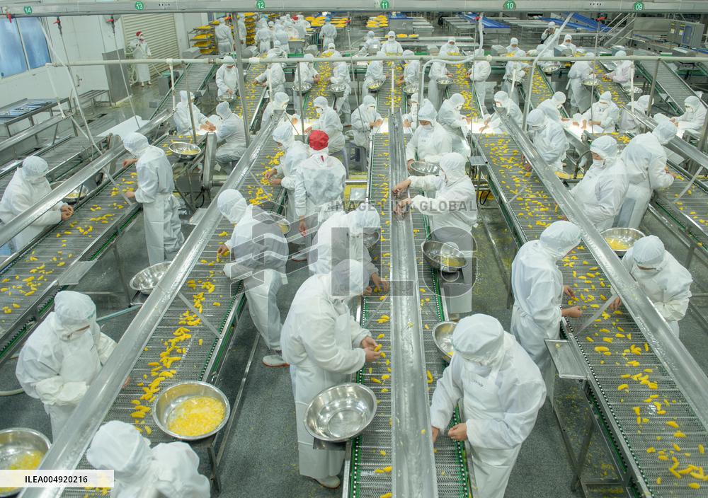 Navel Orange Processing Industry