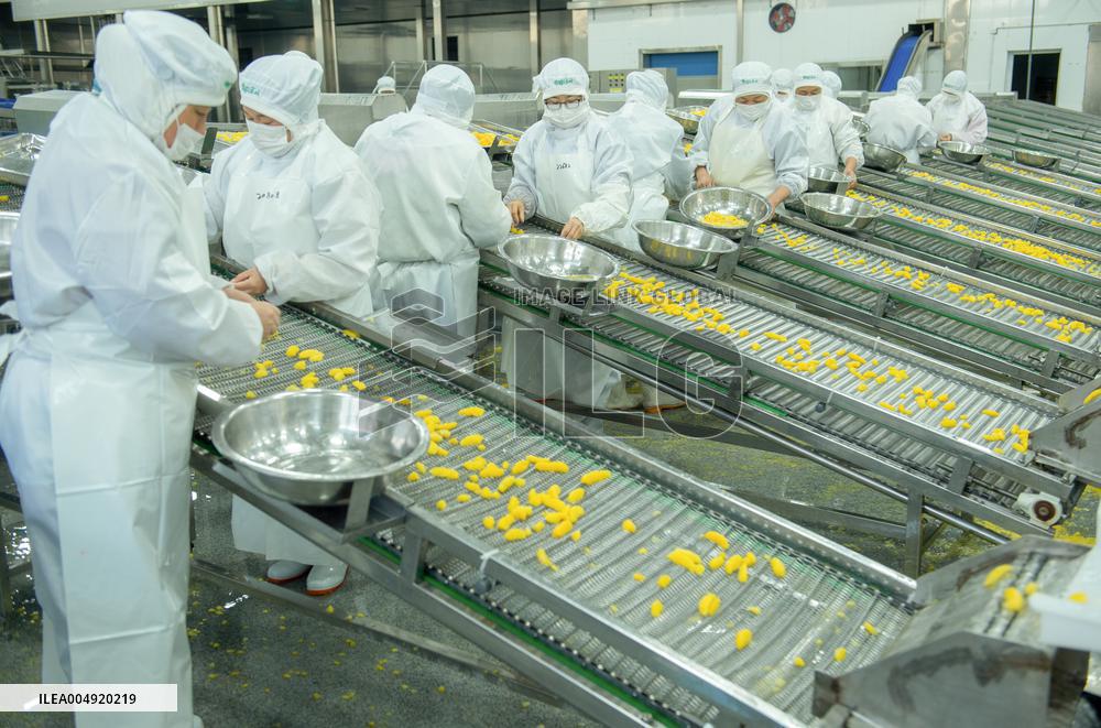 Navel Orange Processing Industry