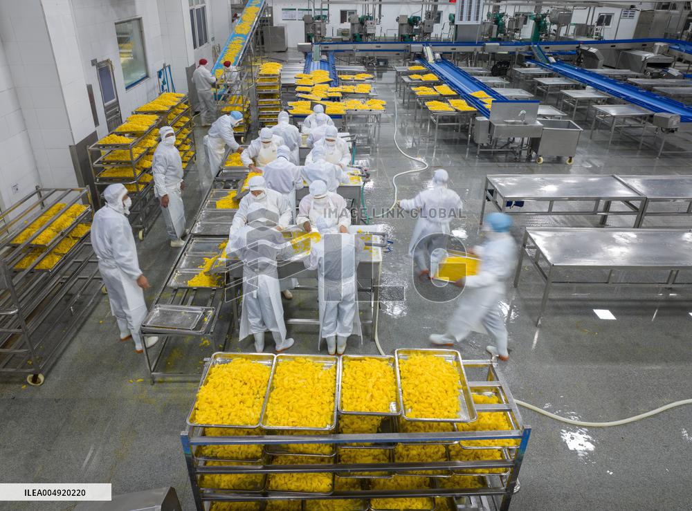 Navel Orange Processing Industry