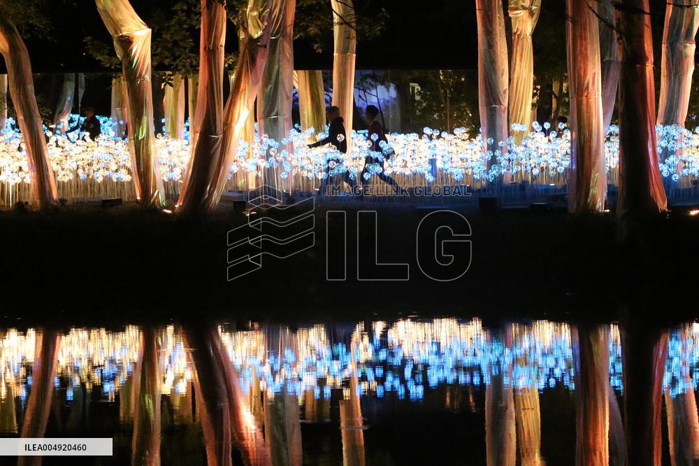 THAILAND-RATCHABURI-NASATTA LIGHT FESTIVA