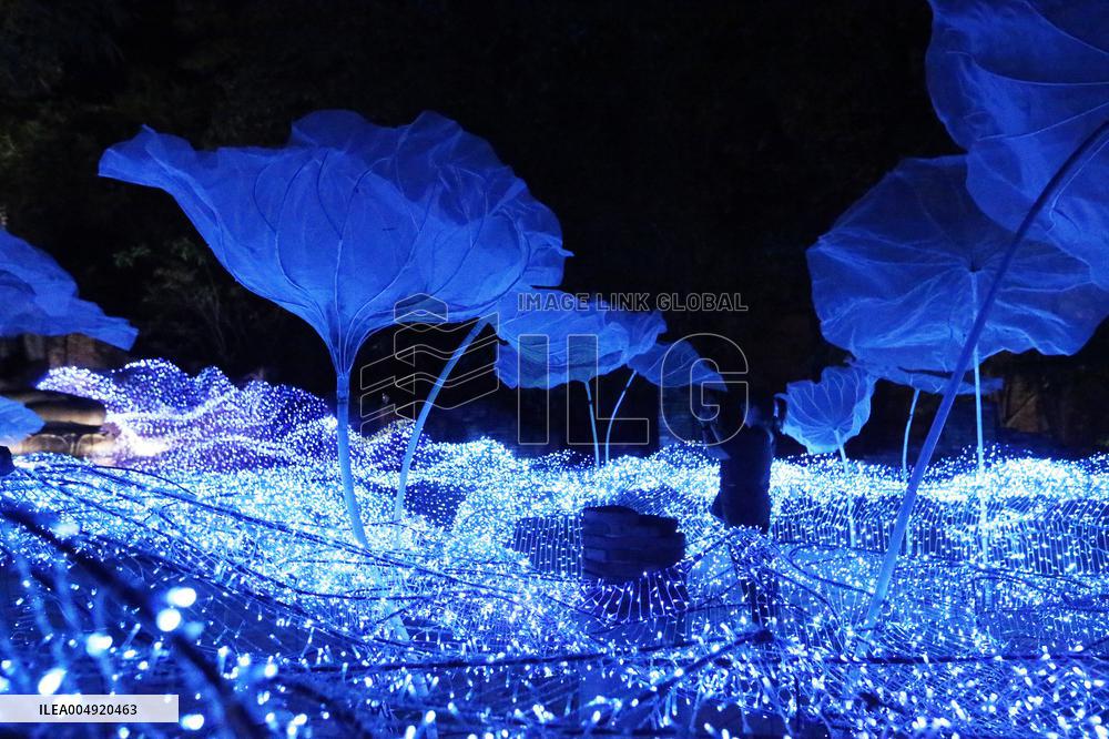 THAILAND-RATCHABURI-NASATTA LIGHT FESTIVA