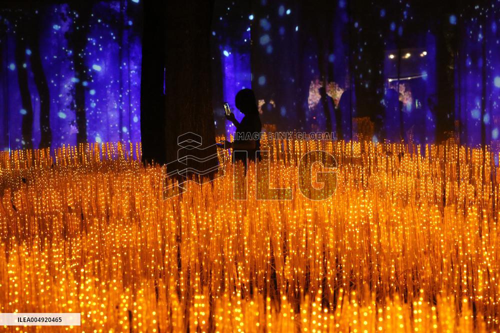 THAILAND-RATCHABURI-NASATTA LIGHT FESTIVA