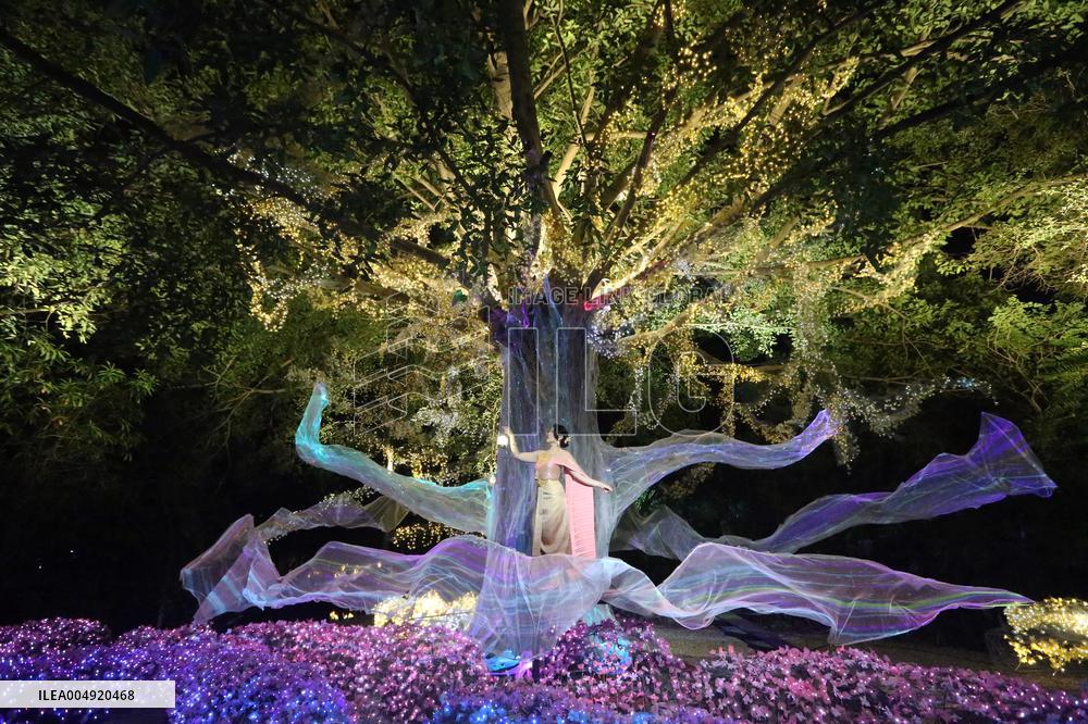 THAILAND-RATCHABURI-NASATTA LIGHT FESTIVA