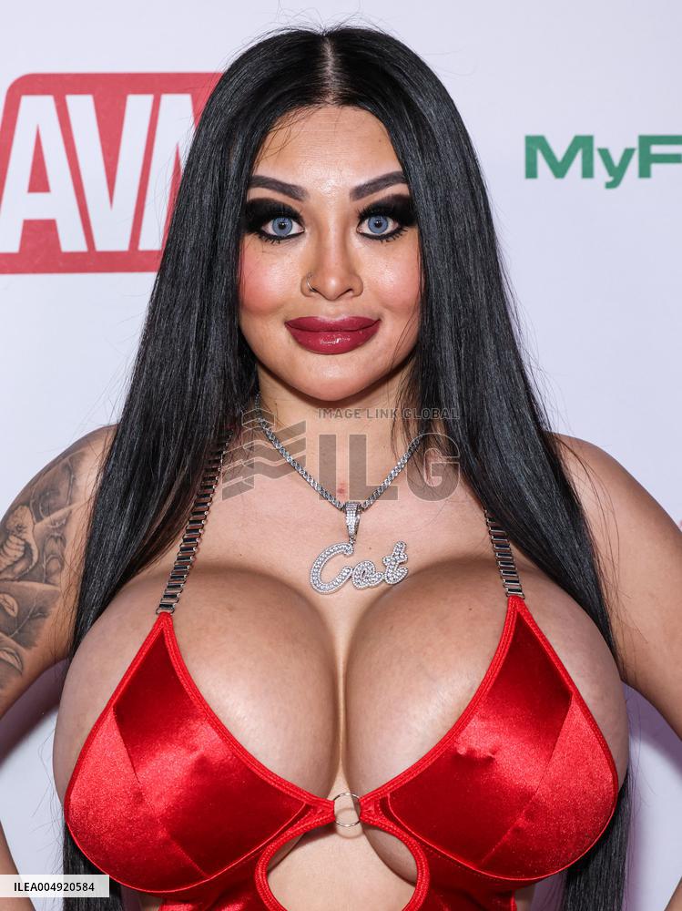2026 AVN Awards Nominations Party - LA