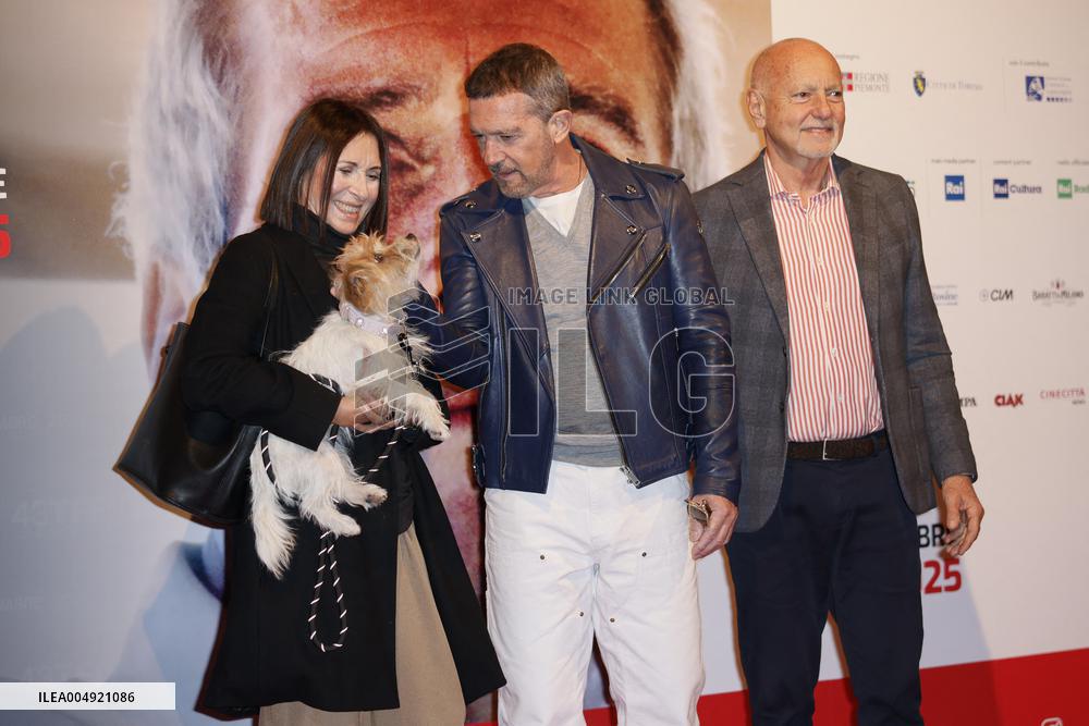43 Turin Film Festival - Antonio Banderas at Stella della Mole Award’s photocall