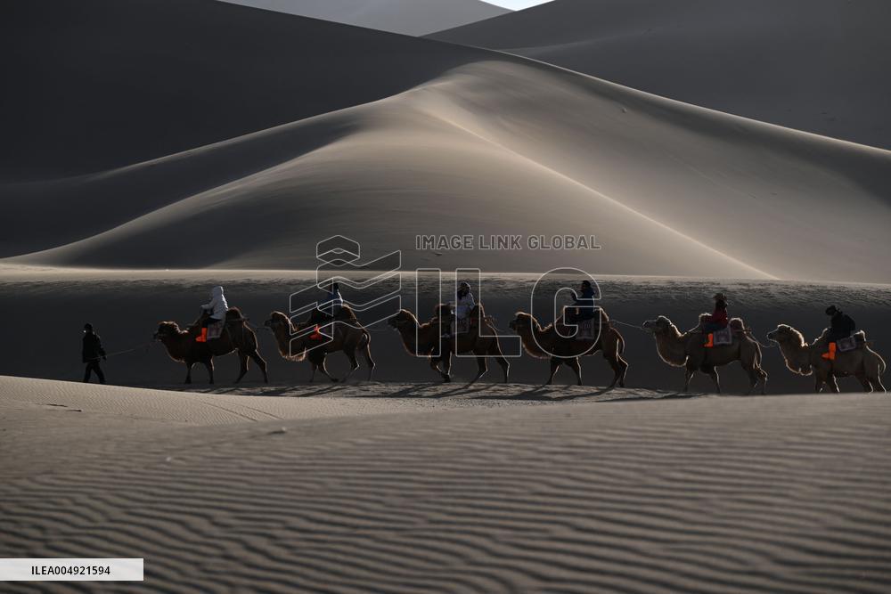 Tourists On Camels At Mingsha Mountain and Crescent Spring Scenic Area - China
