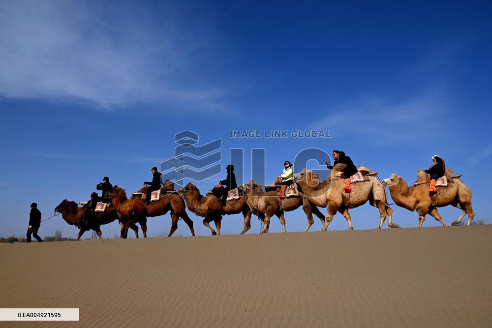 Tourists On Camels At Mingsha Mountain and Crescent Spring Scenic Area - China