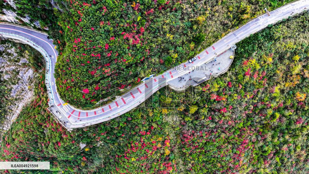 Wuxia Gorge Near Yangtze River - China