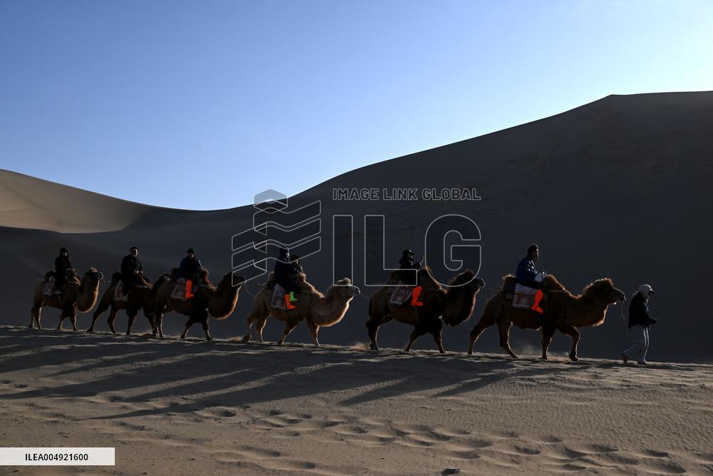 Tourists On Camels At Mingsha Mountain and Crescent Spring Scenic Area - China