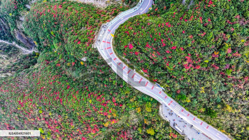Wuxia Gorge Near Yangtze River - China