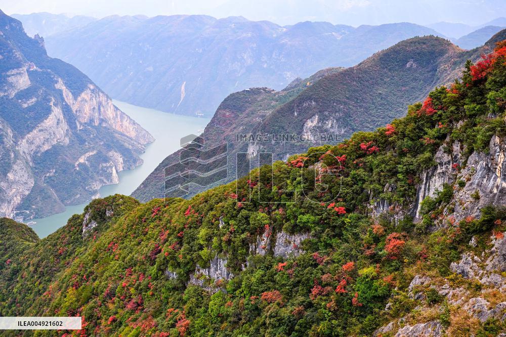 Wuxia Gorge Near Yangtze River - China